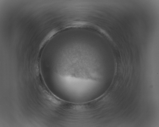 X0000053051362200507111115