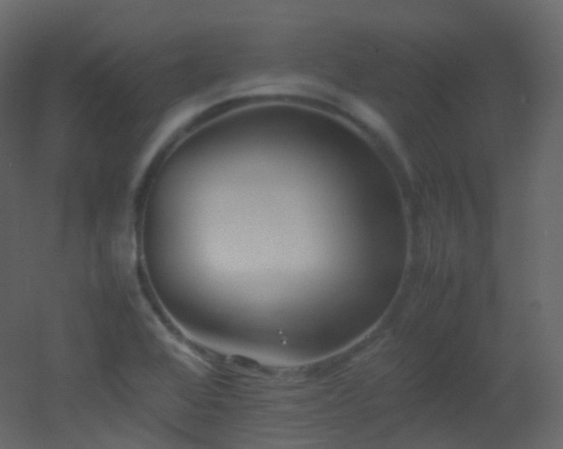 X0000053051368200507111115