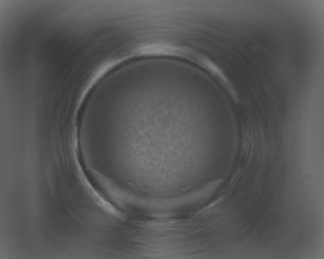 X0000053051376200507111115