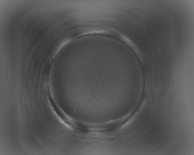 X0000053051377200507111115