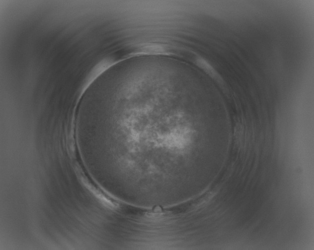 X0000053051378200507111115