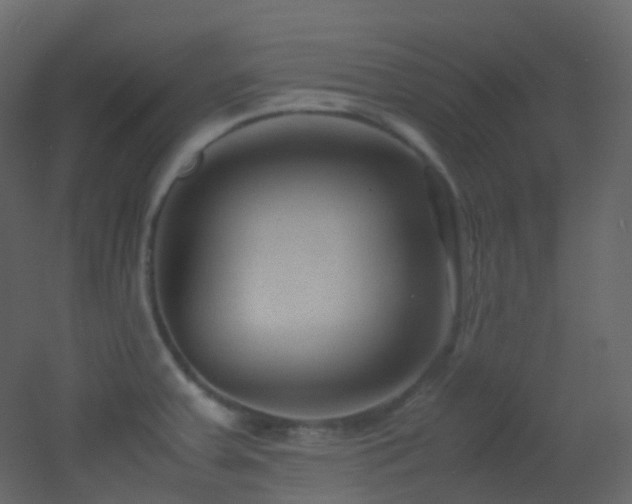 X0000053051379200507111115