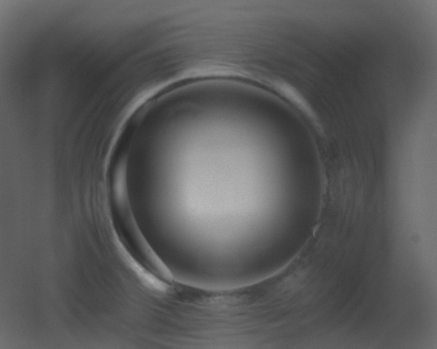 X0000053051380200507111115