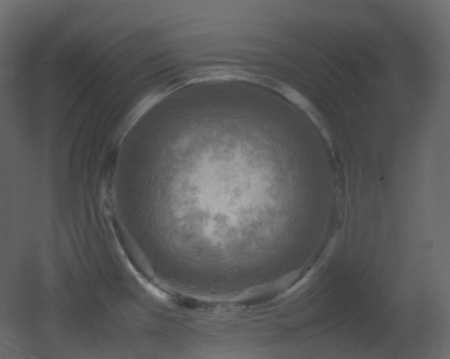 X0000053051385200507111115