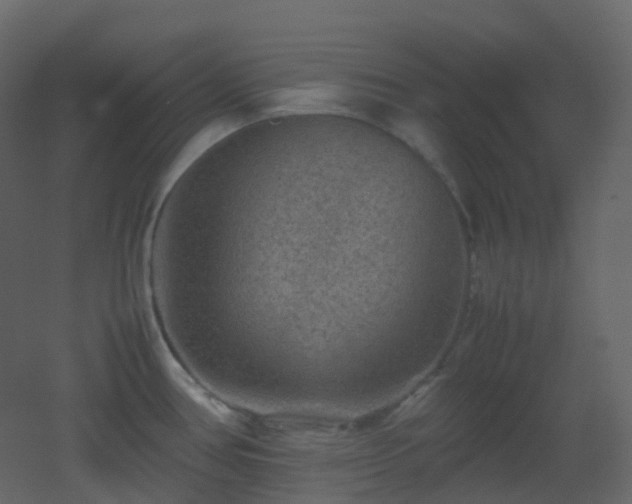 X0000053051386200507111115