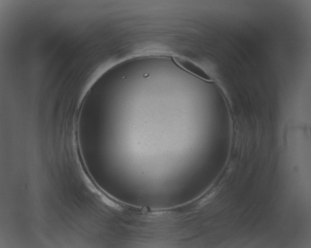 X0000053051390200507111114