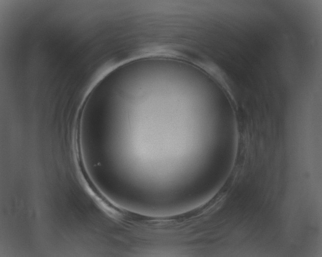 X0000053051391200507111114
