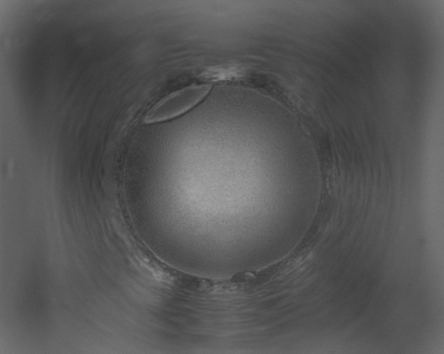 X0000053051393200507111114