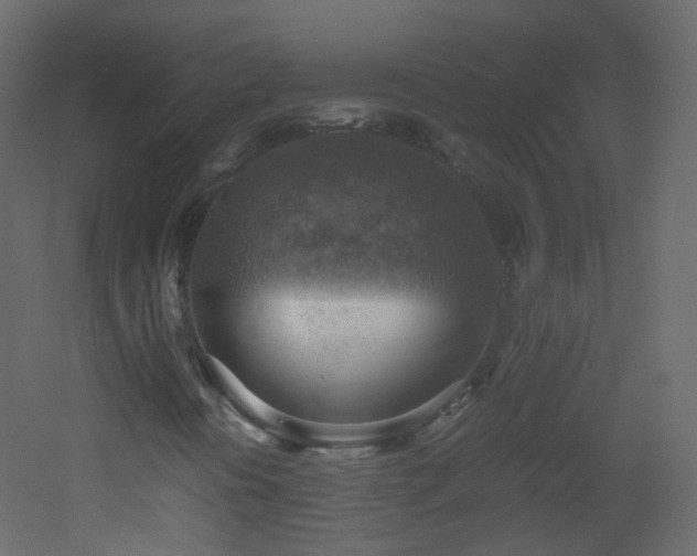 X0000053051394200507111114