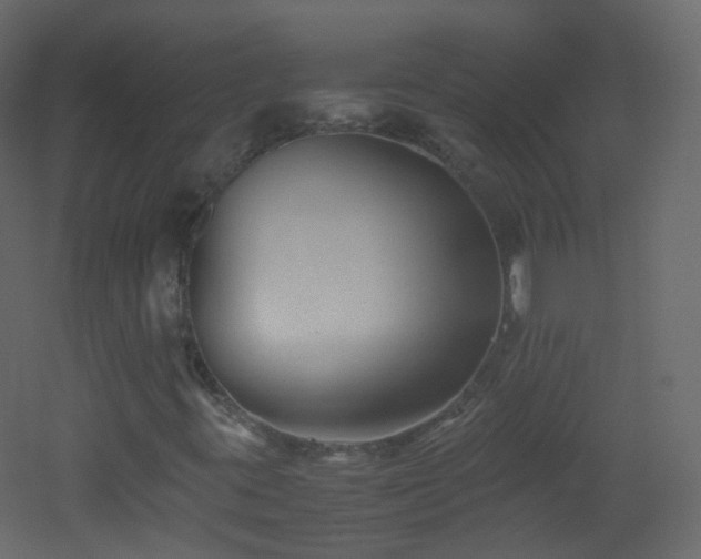 X0000053051395200507111114