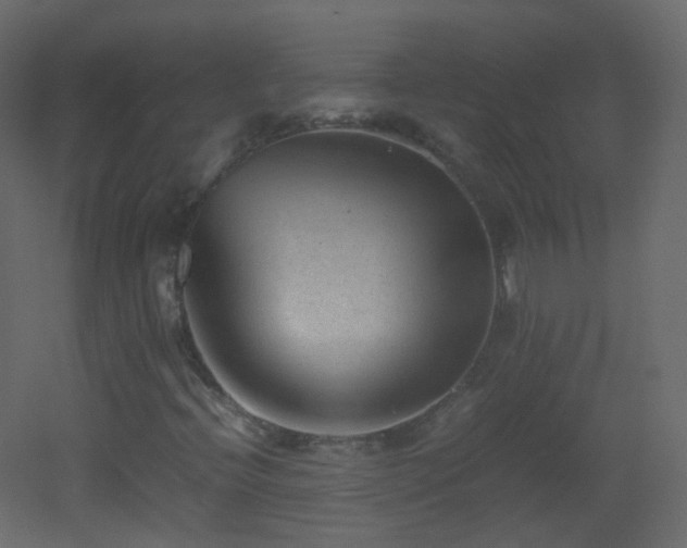 X0000053051396200507111114