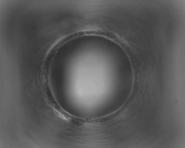 X0000053051400200507111114