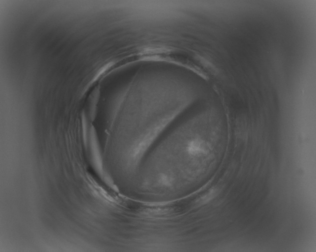 X0000053051401200507111114
