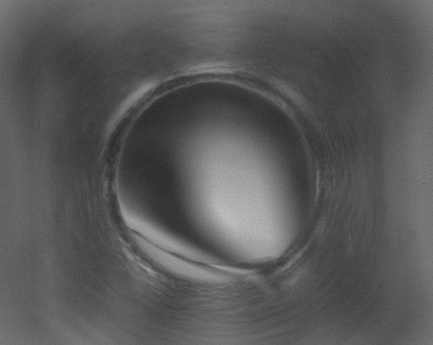 X0000053051406200507111114