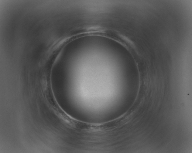 X0000053051407200507111114