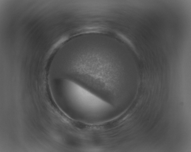 X0000053051411200507111114