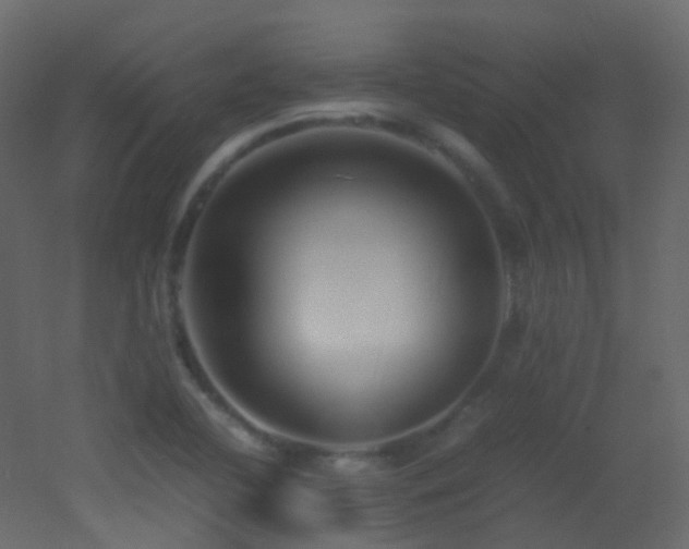X0000053051412200507111114