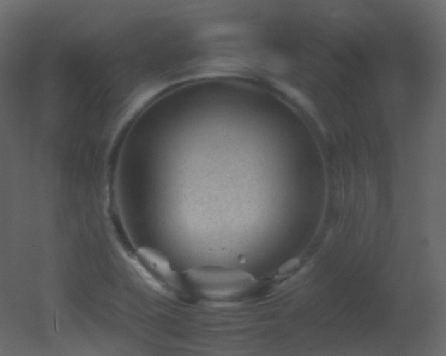 X0000053051415200507111114