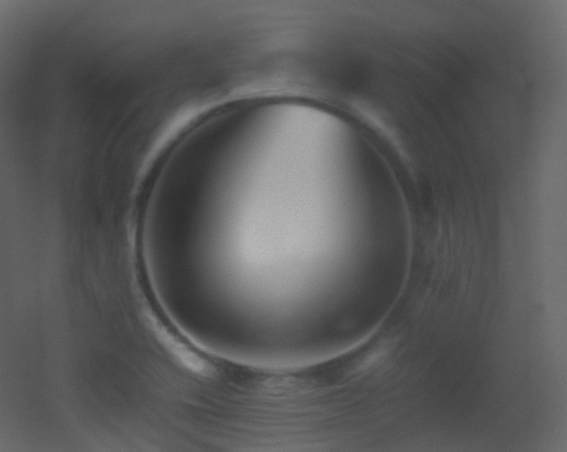 X0000053051416200507111114