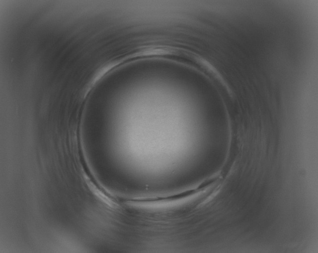 X0000053051417200507111114