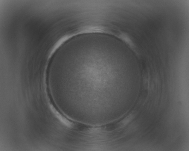 X0000053051422200507111114