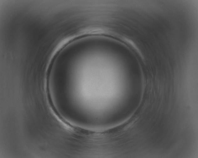 X0000053051424200507111114