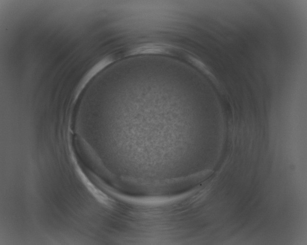 X0000053051426200507111114