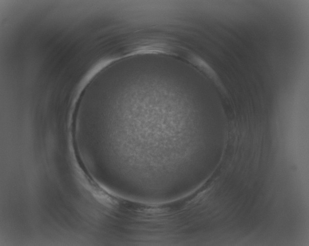X0000053051427200507111114