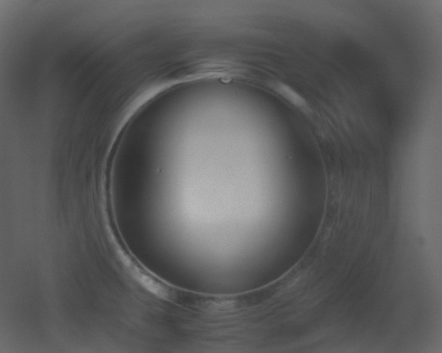 X0000053051431200507111114