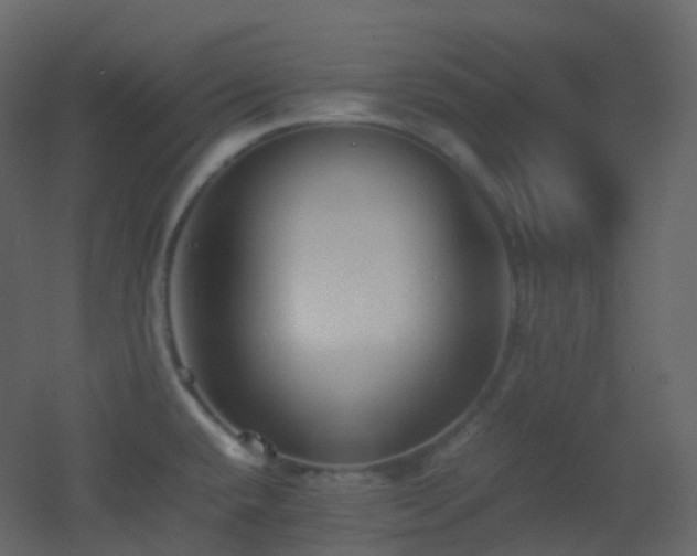 X0000053051432200507111114