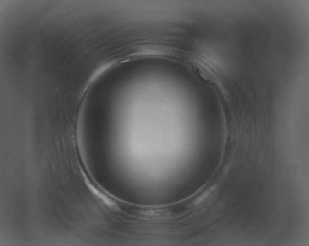 X0000053051433200507111114