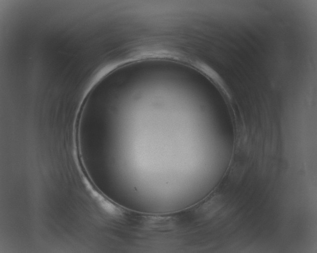 X0000053051439200507111114
