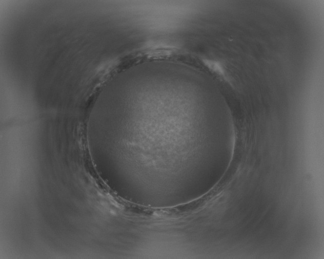 X0000053051445200507111114