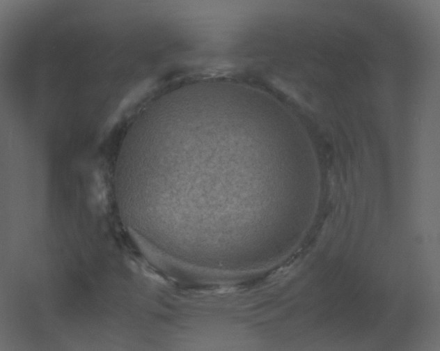 X0000053051447200507111113