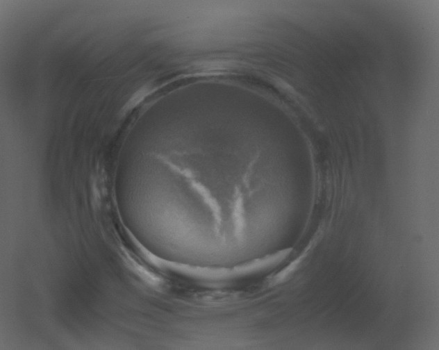X0000053051449200507111113
