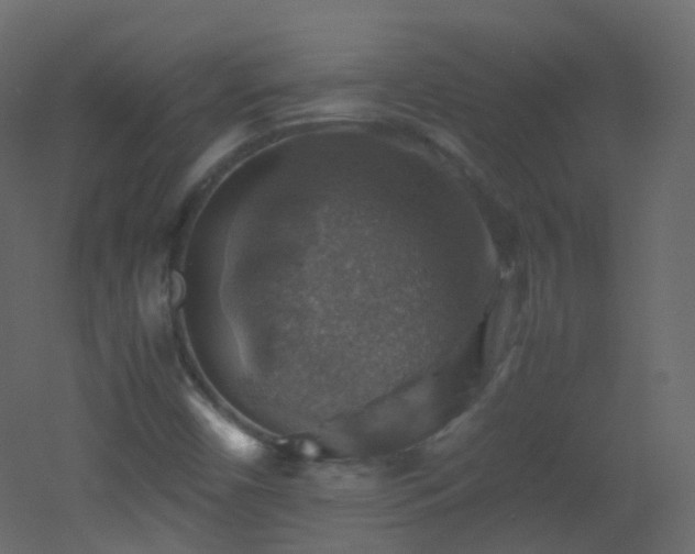 X0000053051450200507111113