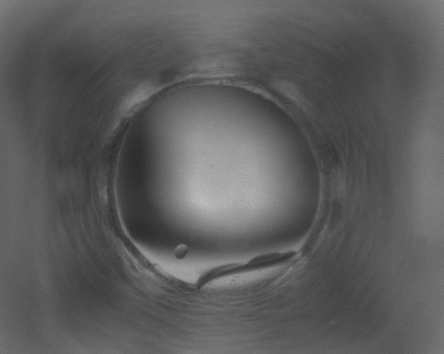 X0000053051451200507111113