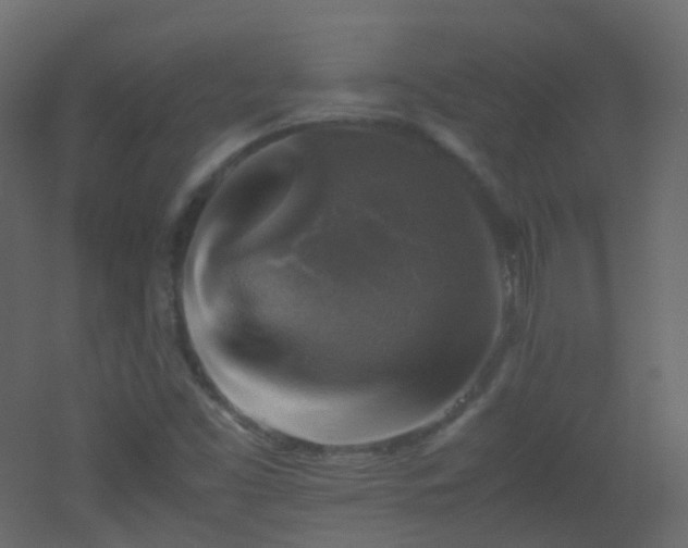 X0000053051453200507111113