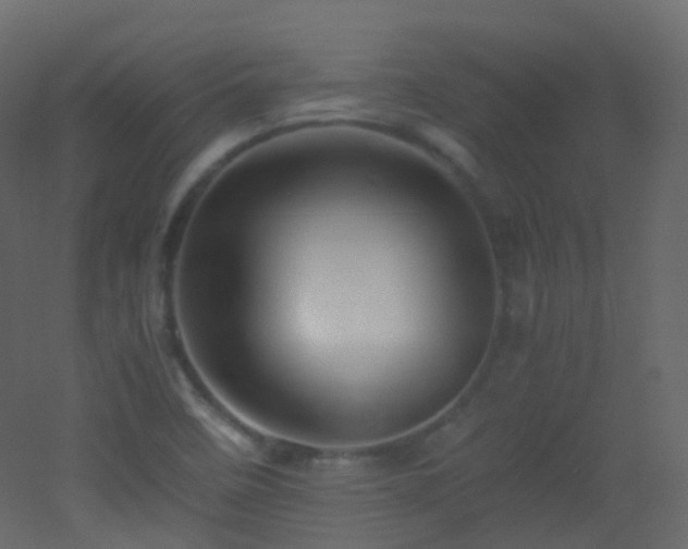X0000053051458200507111113
