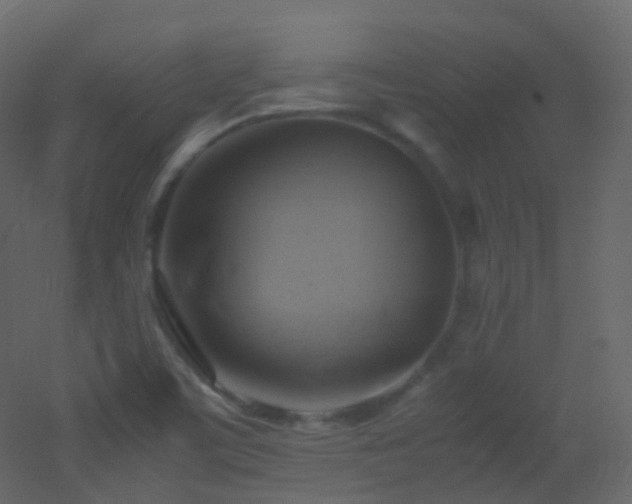 X0000053051459200507111113