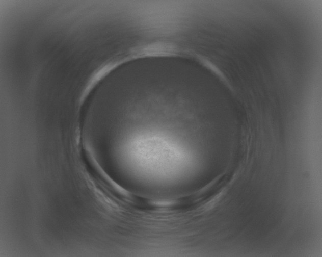 X0000053051461200507111113