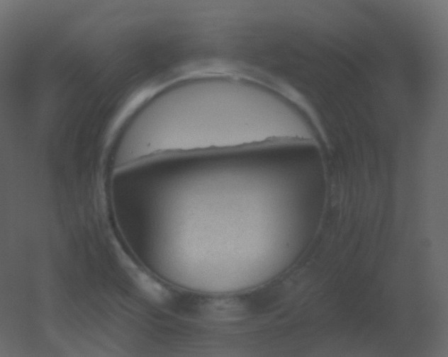 X0000053051464200507111113