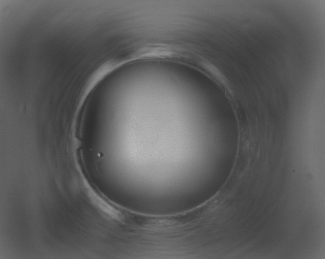 X0000053051475200507111113