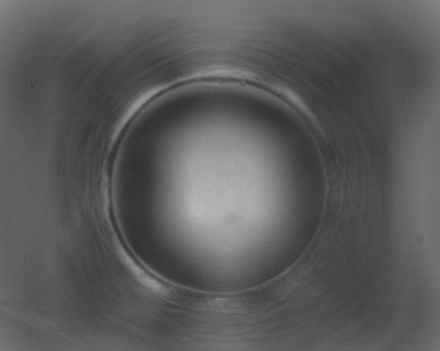 X0000053051476200507111113