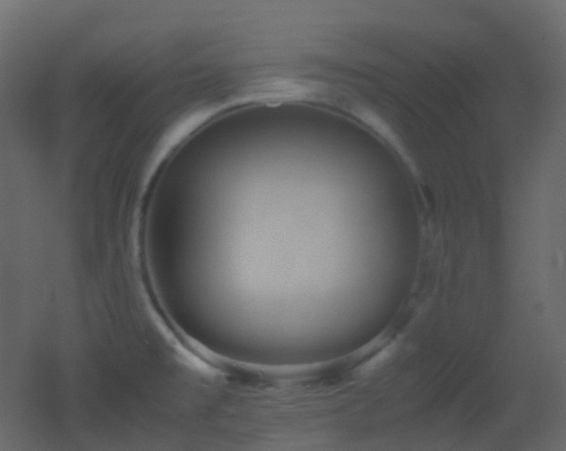 X0000053051477200507111113