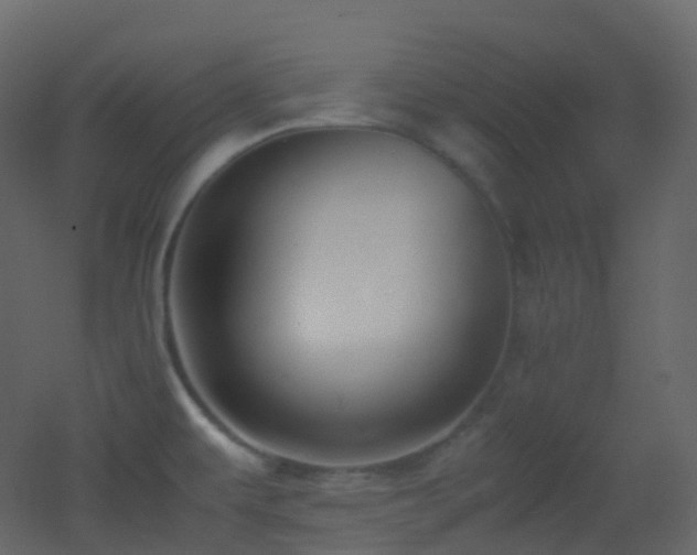 X0000053051479200507111113