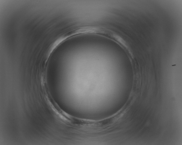 X0000053051481200507111113