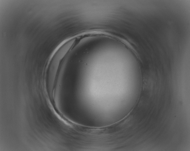 X0000053051484200507111113