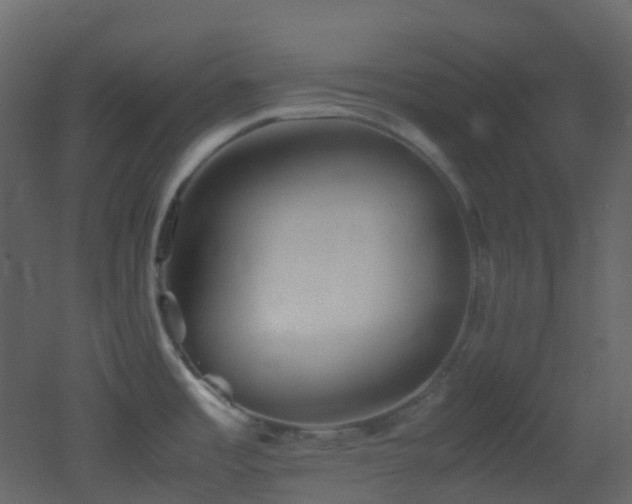 X0000053051485200507111113