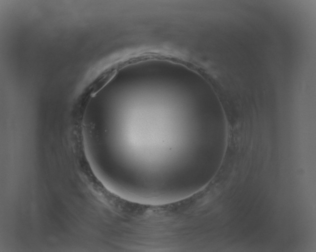 X0000053051496200507111112